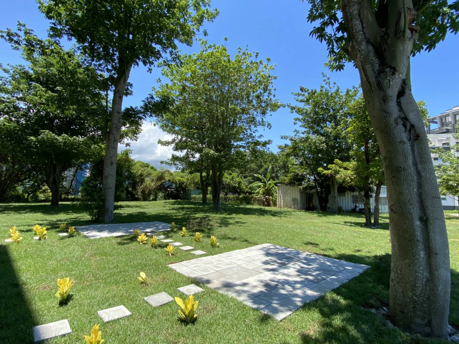 山之小羊民宿2