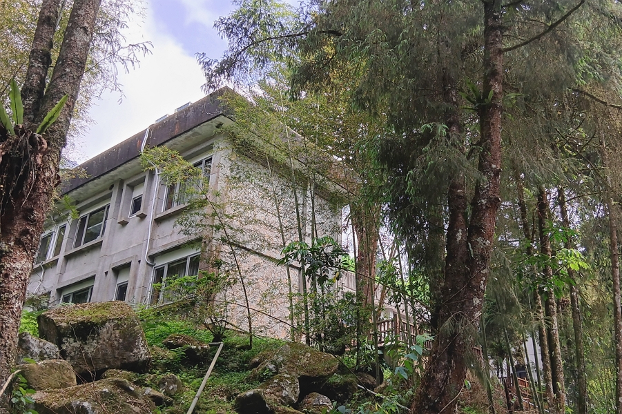 溪頭福華渡假飯店-大學樓及鳳凰樓11