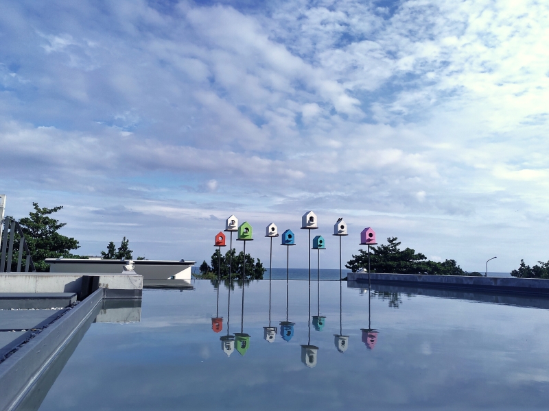 水。樹5